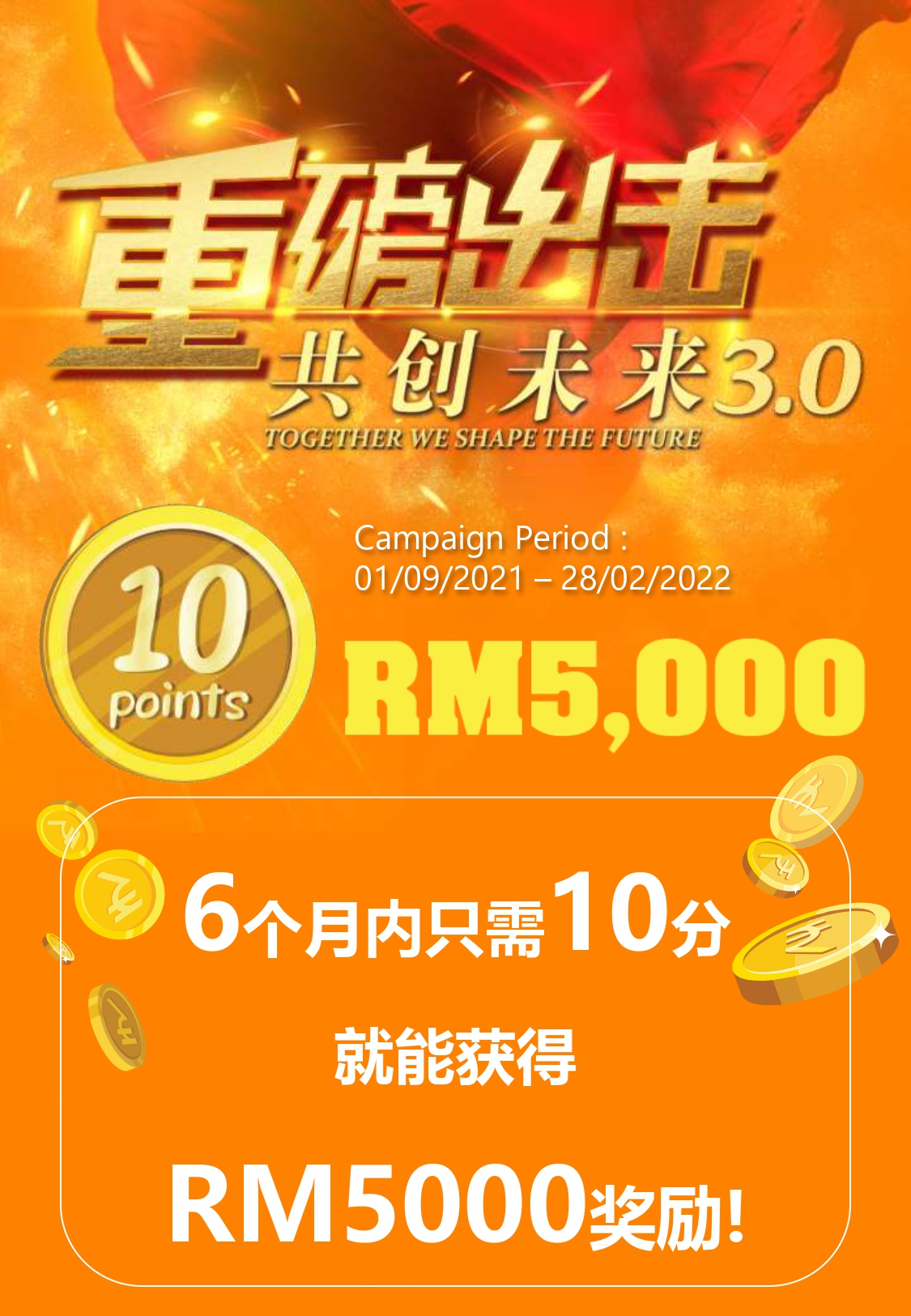 Cash Campaign Details CN page 0001